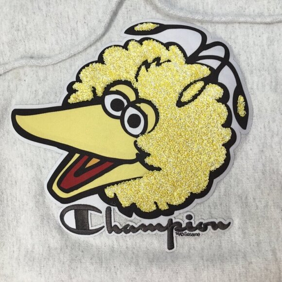 Champion Reverse Weave Big Bird Hoodie Vtg Sesame Street Sweatshirt Patch Small - Picture 2 of 9